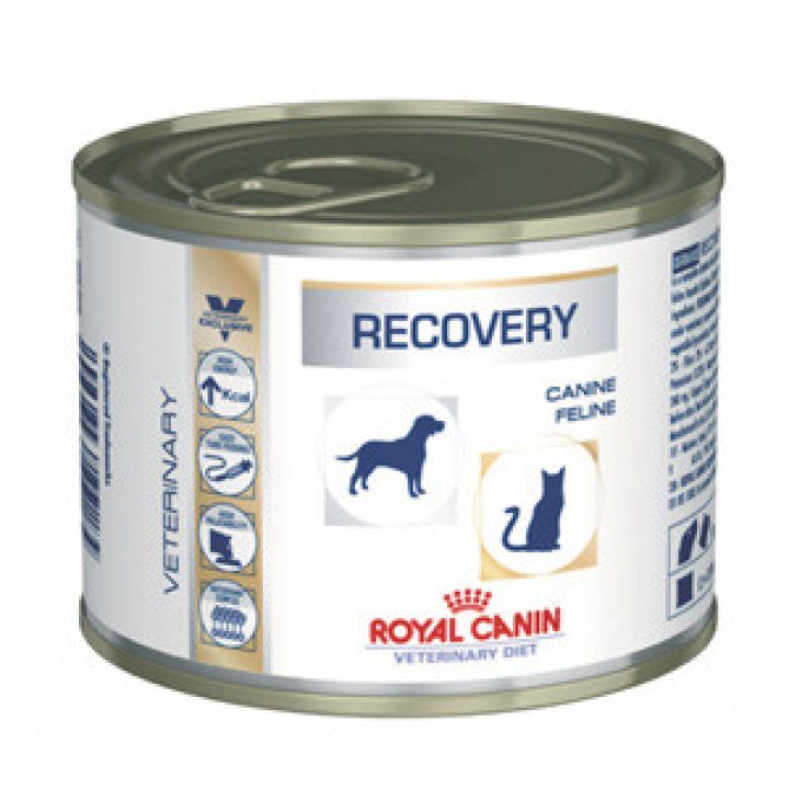Лечебный влажный корм для собак Royal Canin Recovery 195 г