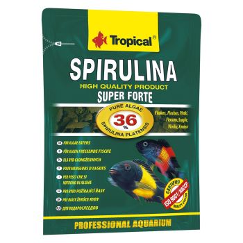 Сухой корм для аквариумных рыб Tropical в хлопьях «Super Spirulina Forte» 12 г (для травоядных рыб)
