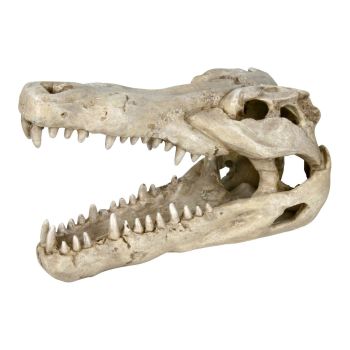 Декорация для аквариума Trixie Череп крокодила 14 см (пластик)