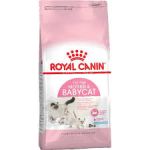 Royal Canin для кошек